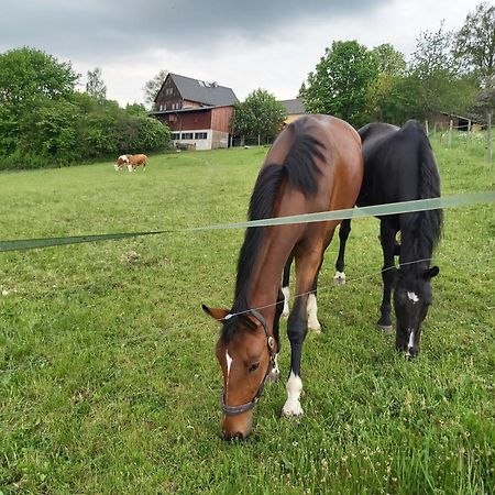 Glamping-Paradies Am Dengler Hof Hohenberg an der Eger Dış mekan fotoğraf