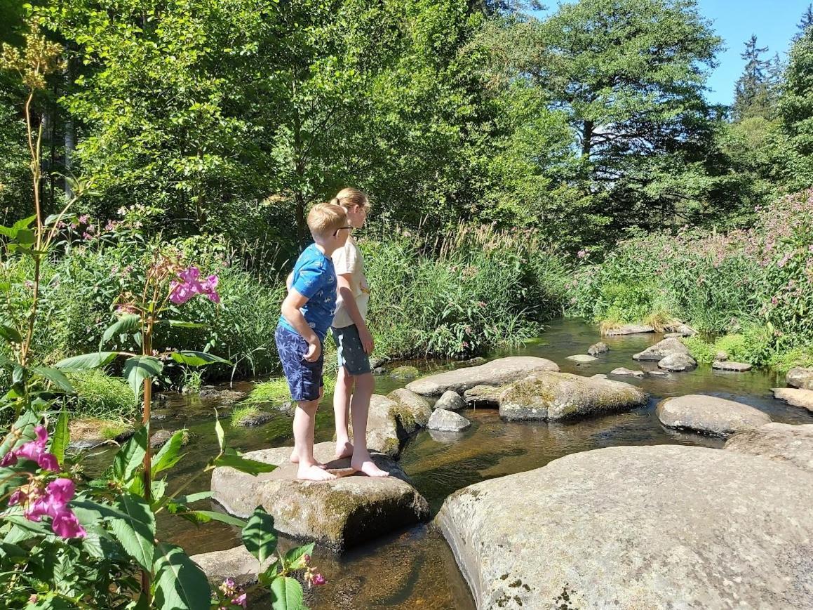 Glamping-Paradies Am Dengler Hof Hohenberg an der Eger Dış mekan fotoğraf